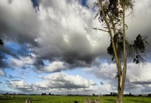  蒂姆重返赛场，持续失利首场状态出色，SKT观众沸腾！赛场气氛高涨